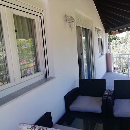 Villa Fotis View Paralía Skotínis エクステリア 写真